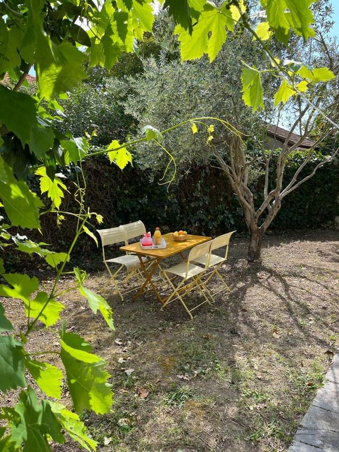 Maison De Charme Avec Jardin Carcassonne Esterno foto
